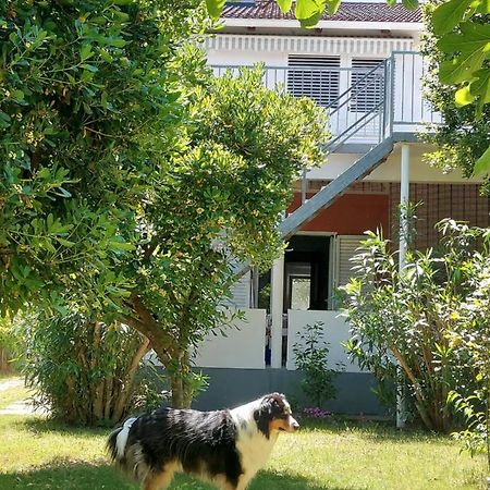 .....Und Der Hund Darf Mit Apartment Privlaka  Exterior foto