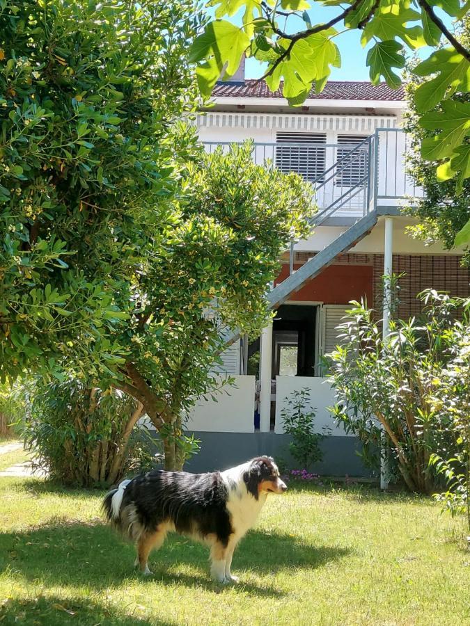 .....Und Der Hund Darf Mit Apartment Privlaka  Exterior foto